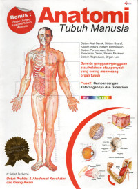 Anatomi Tubuh Manusia