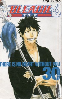 Bleach Vol. 30: There is No Heart Without You